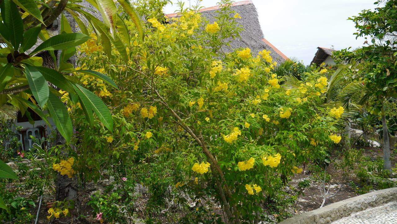 Moalboal T Breeze Coastal Resort Exterior photo